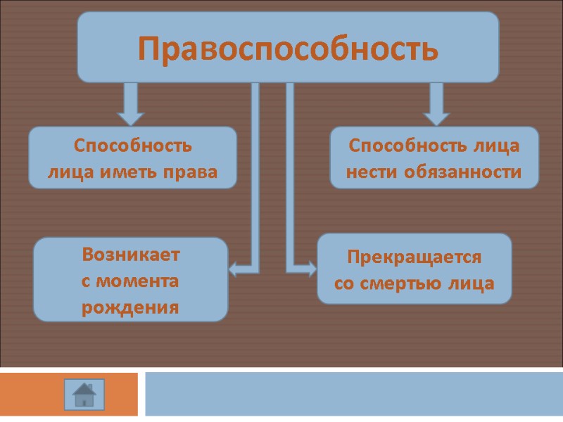 Правоспособность Способность  лица иметь права Способность лица нести обязанности Возникает  с момента